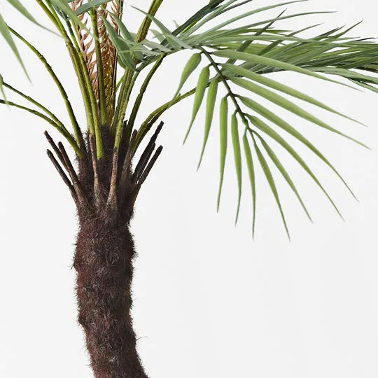 Palm Areca Green 76cm Pack of 2