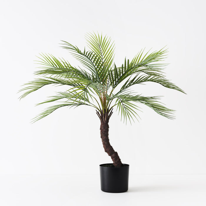 Palm Areca Green 76cm Pack of 2