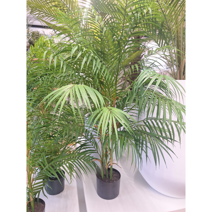 Palm Phoenix Green 107cm Pack of 2