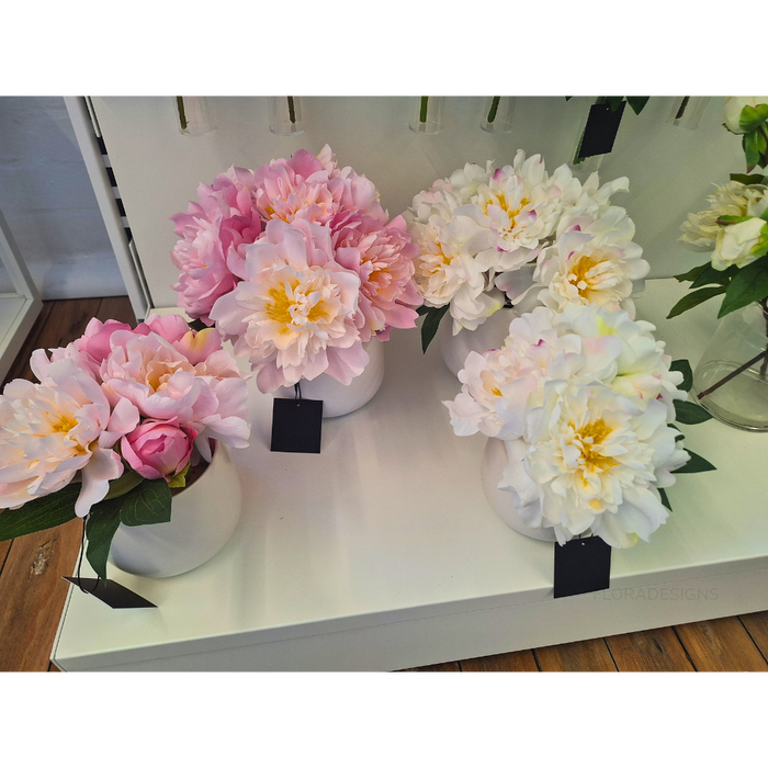 Peony Mix in Pot 22cm Pink