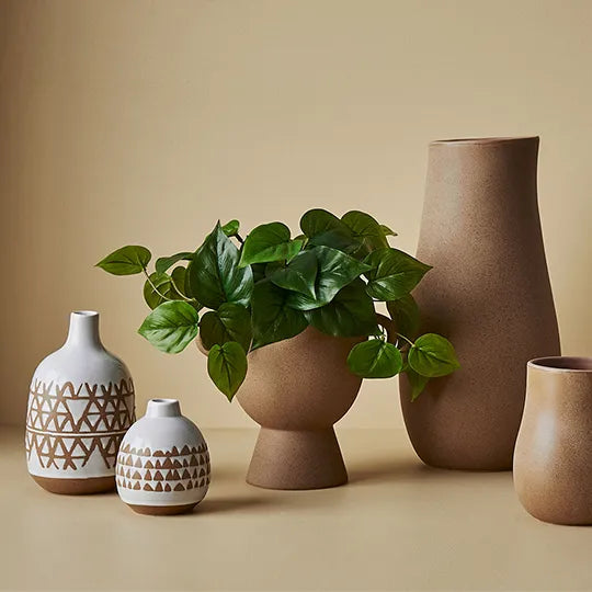 Philodendron Hanging Bush in Pot Green 30cm Pack of 4 - Clearance price