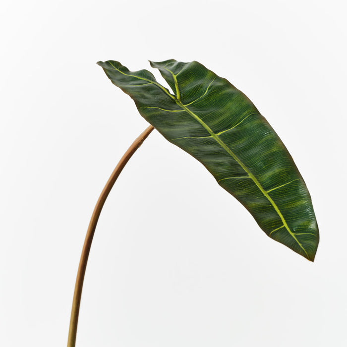 Philodendron Leaf Green 81cm Set of 12