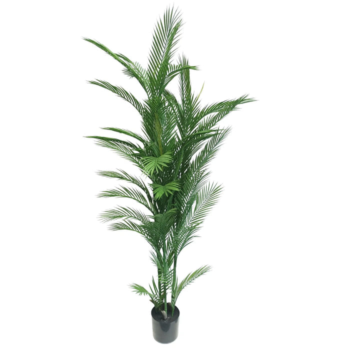 Phoenix Palm Tree Real Touch UV Resistant 180cm