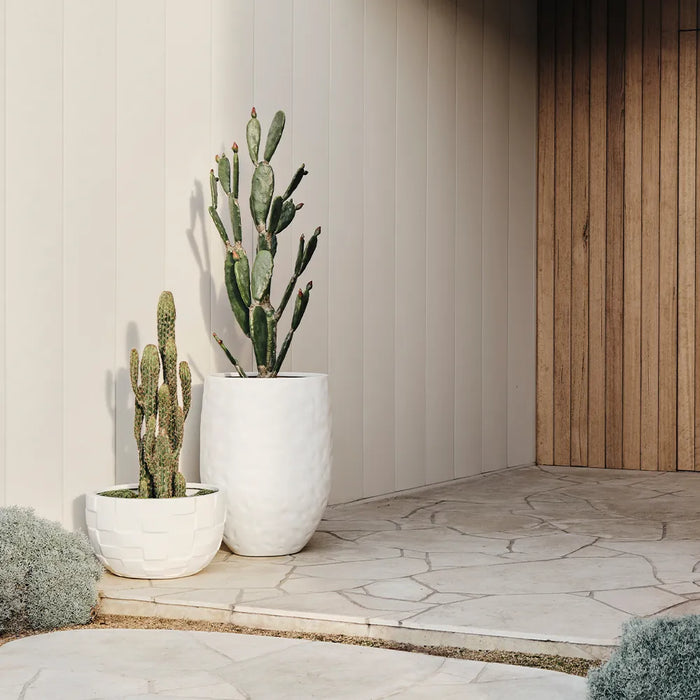 Pot Buta White Set of Two 44cm