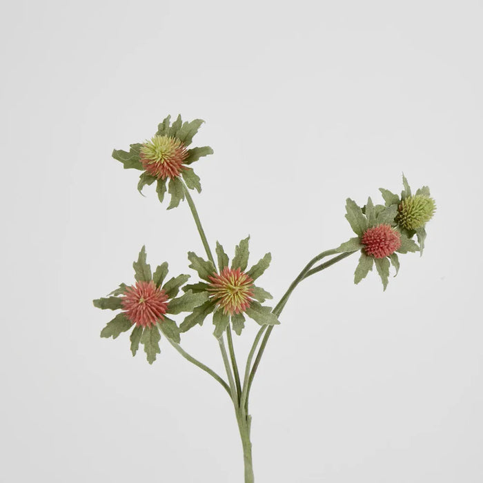 Red Green Thistle Spray 62cm Pack of 24