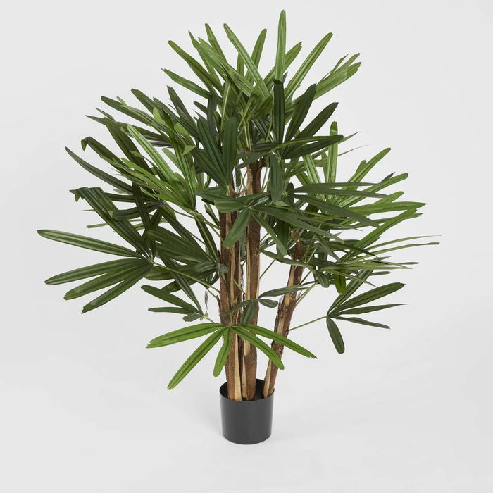 Rhapis Palm Tree 100cm