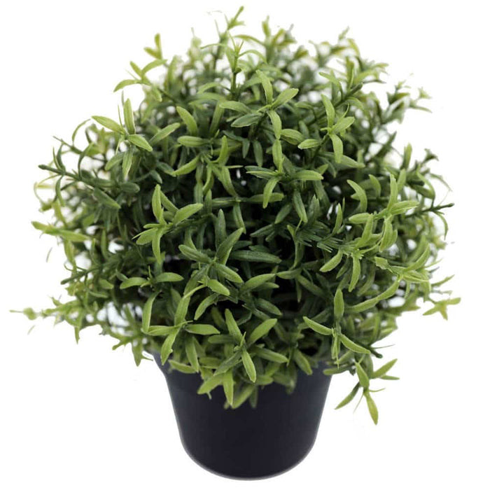 Rosemary Herb Plant UV Resistant 20cm Green Set of 4
