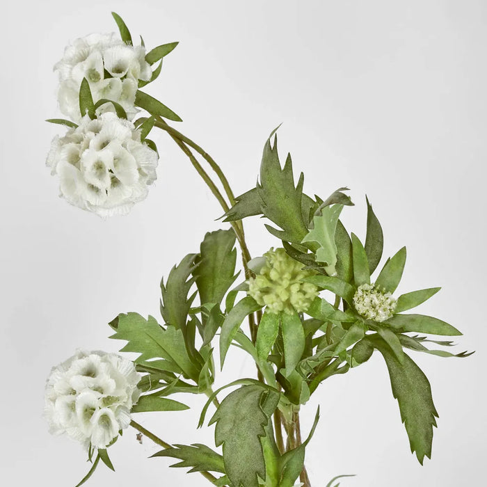 Scabiosa Spray 94cm White Pack of 12