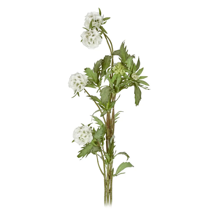 Scabiosa Spray 94cm White Pack of 12
