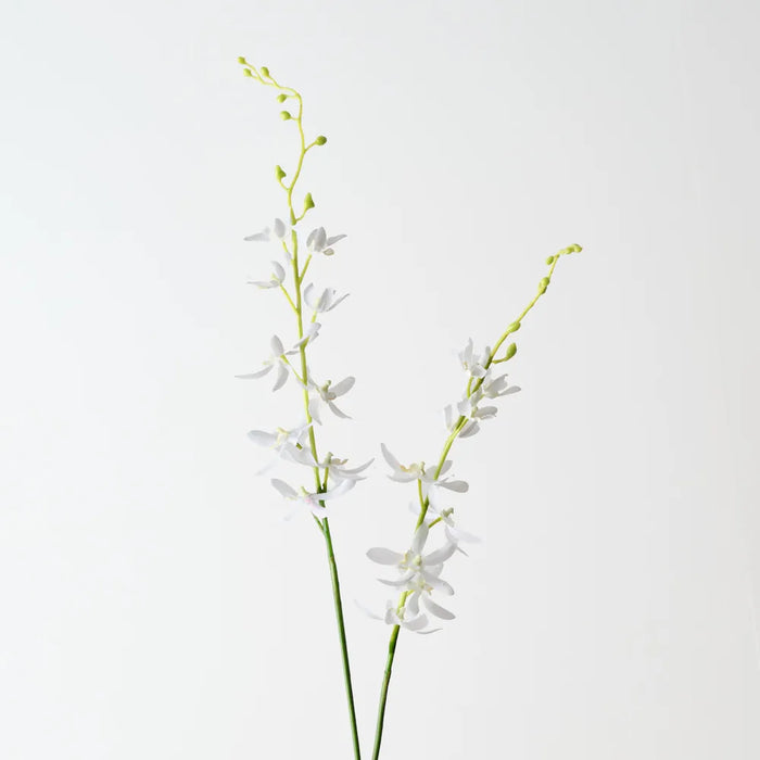 Scorpion Orchid Spray 102cm White - Pack of 12