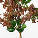 Sedum Bouquet Brown  38cm - Pack of 12