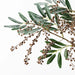 Seed Spray Coffee 94cm - Pack of 12