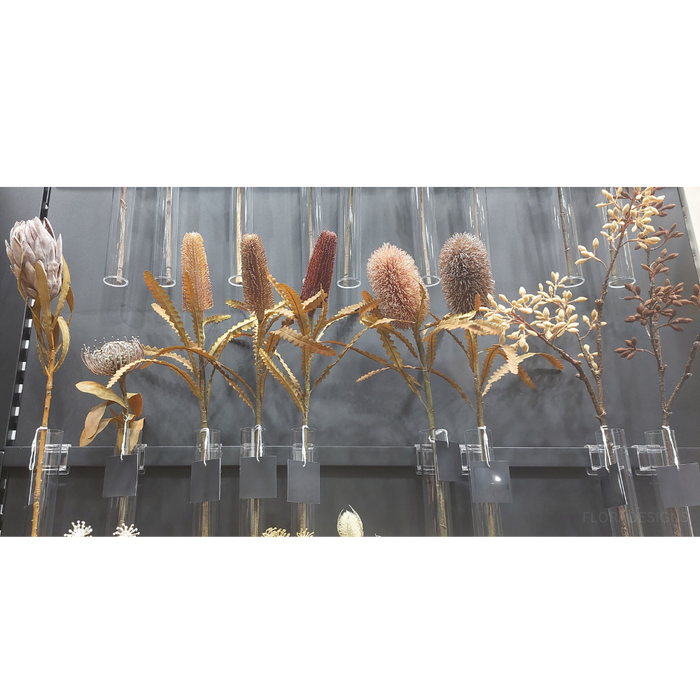 Simplex Seed  Spray Chocolate Brown 70cm Pack of 12