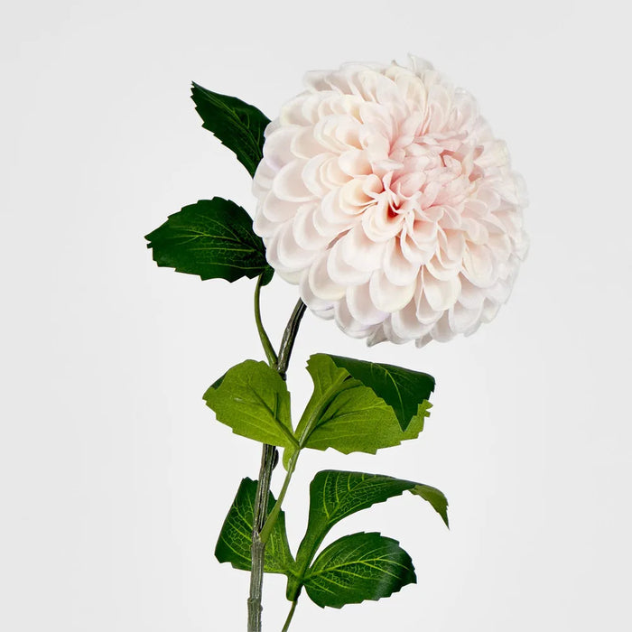 Single Ball Dahlia 74cm Light Pink Pack of 12