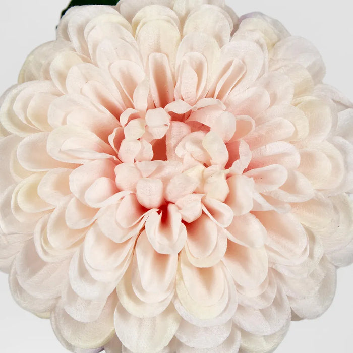 Single Ball Dahlia 74cm Light Pink Pack of 12