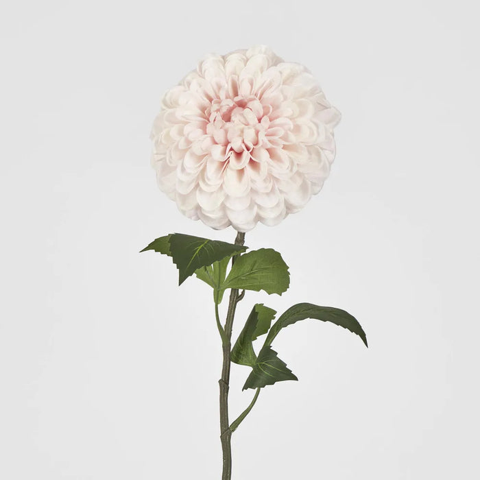 Single Ball Dahlia 74cm Light Pink Pack of 12