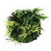 Slimline Artificial Green Wall Disc Art Grassy Fern Fields 50cm - FLORA DESIGNS