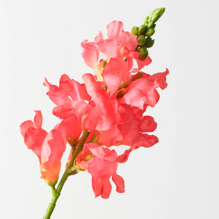 Snapdragon Spray 80cm Coral Pink Pack of 12