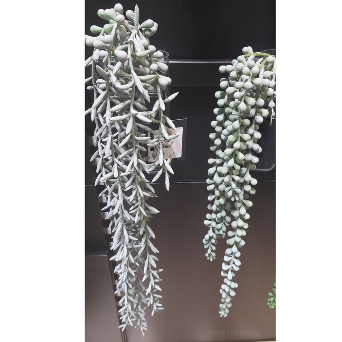 String of Pearls Hanging Bush Grey Green 45cm Pack of 12