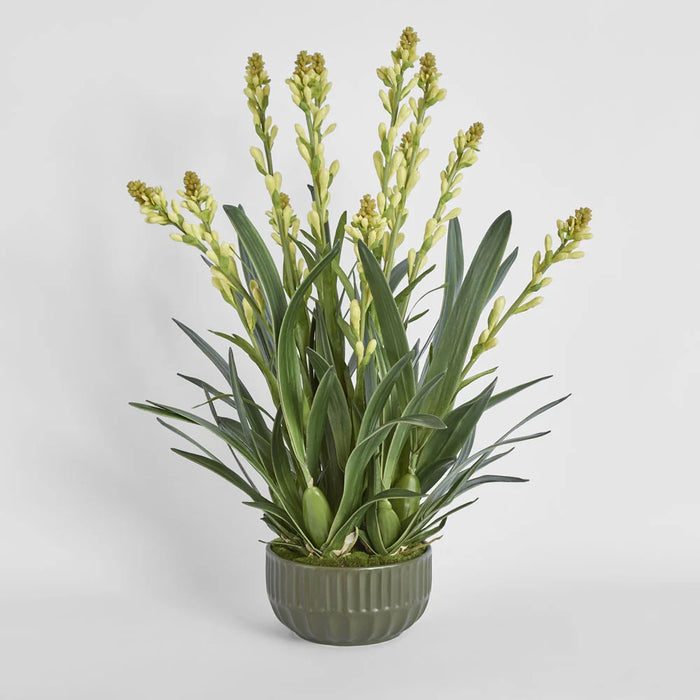 Tahlia Arrangement 75cm Green in Olive Green Pot