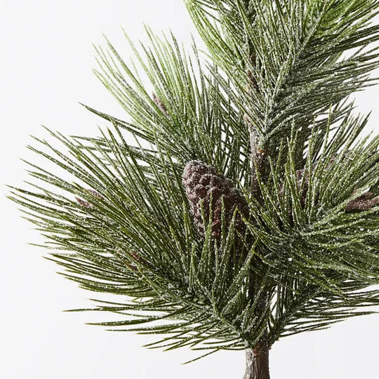 Tree Pine Jasper in Pot Green White 53cm - Pack of 6