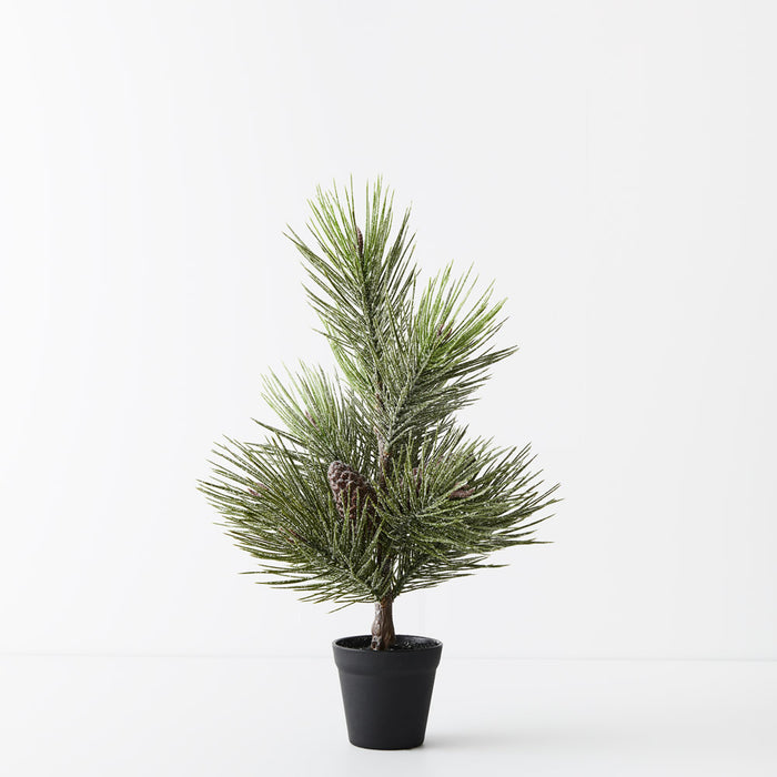 Tree Pine Jasper in Pot Green White 53cm - Pack of 6