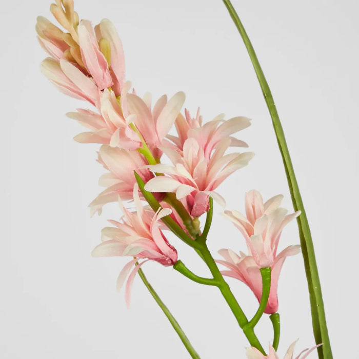Tuberose Stem Pink 76cm Pack of 12