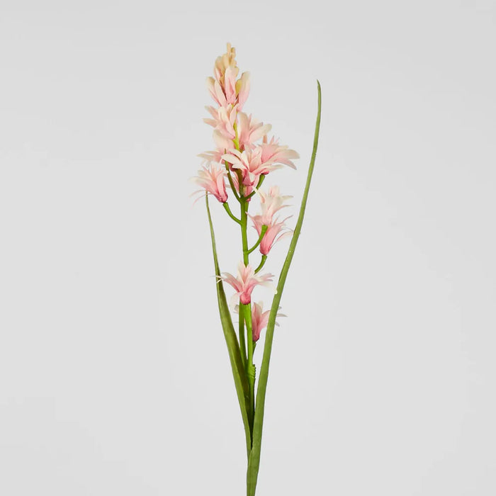 Tuberose Stem Pink 76cm Pack of 12