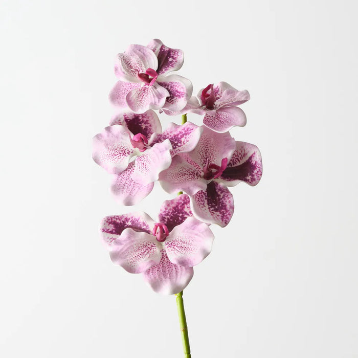 Vanda Orchid 66cm Lavender - Pack of 12