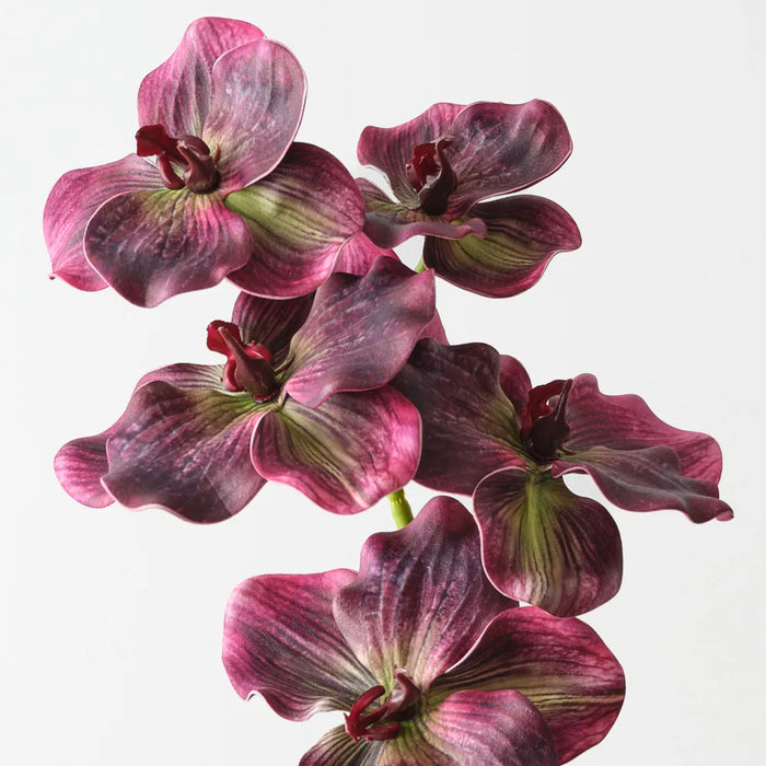 Vanda Orchid 66cm Purple - Pack of 12