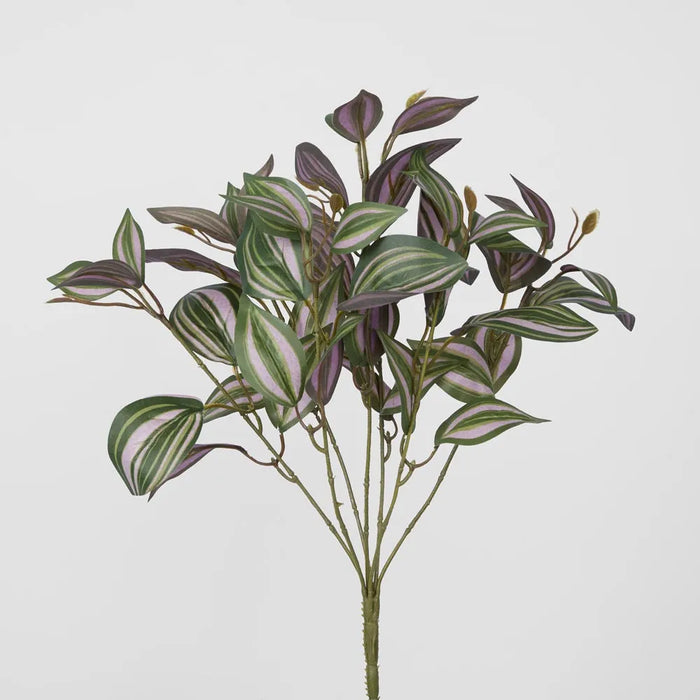 Wandering Jew Leaf Spray 45cm Purple Pack of 24