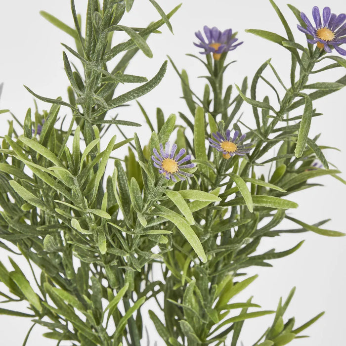 Wild Daisy Bush Purple 70cm Pack of 24