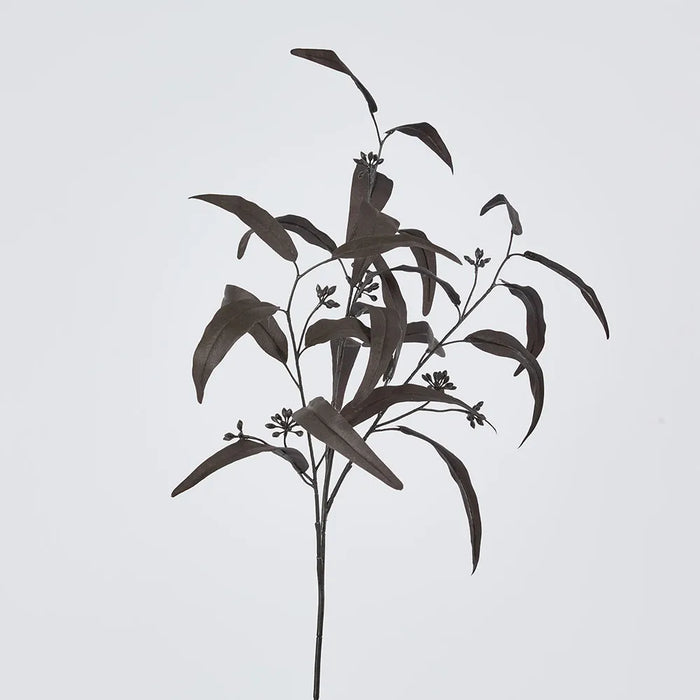 Willow Eucalyptus Black Spray 72cm Pack of 12