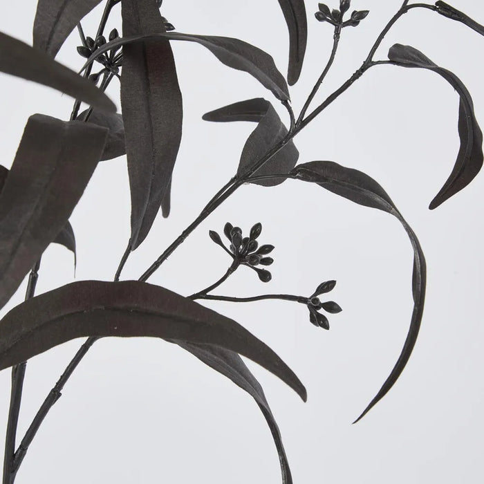 Willow Eucalyptus Black Spray 72cm Pack of 12