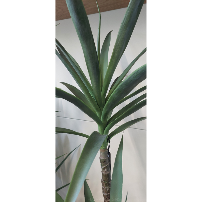 Yucca Plant Green 155cm Pack of 2