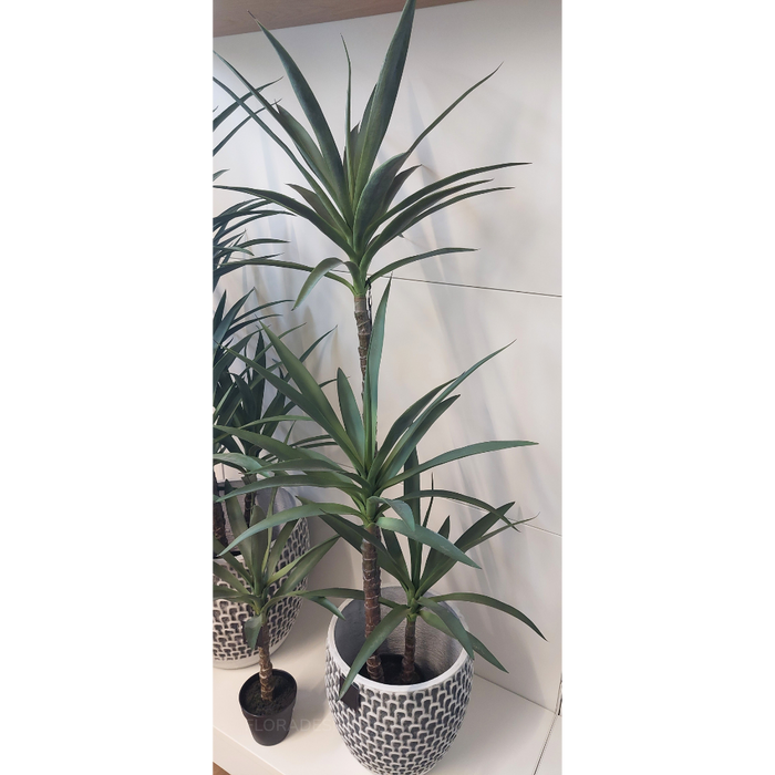 Yucca Plant Green 155cm Pack of 2