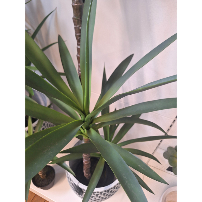 Yucca Plant Green 155cm Pack of 2
