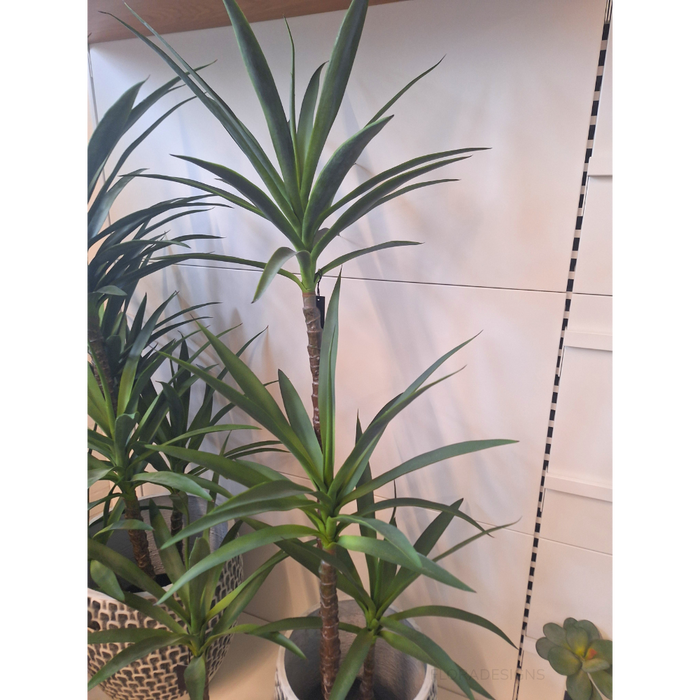 Yucca Plant Green 155cm Pack of 2