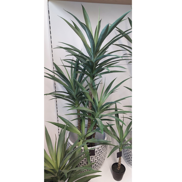 Yucca Plant Green 155cm