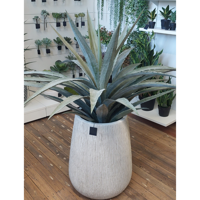 Yucca Plant Grey Green 122cm