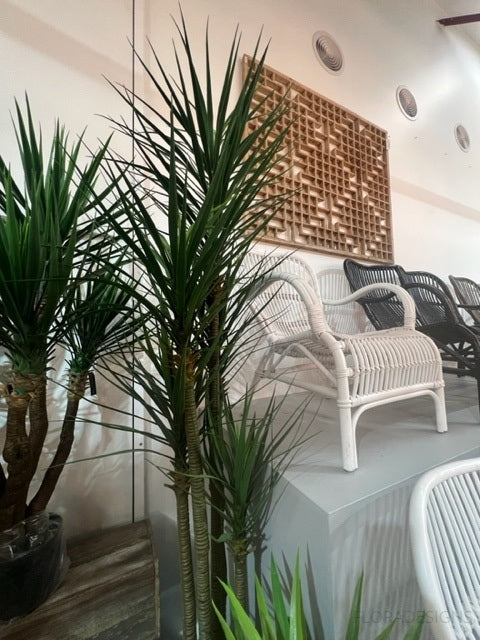 Yucca Tree Green in Black Pot 180cm