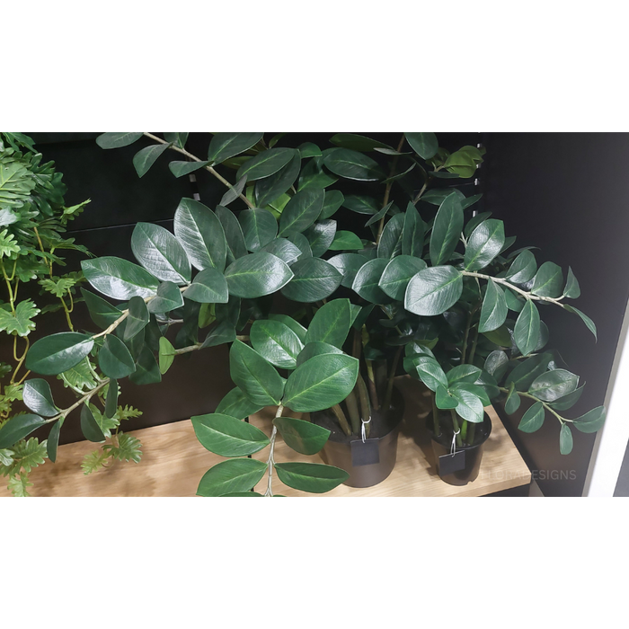 Zanzibar Gem Green 52cm Set of 2