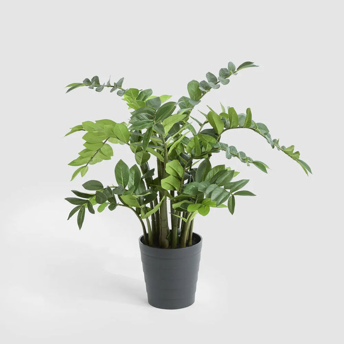 Zanzibar Plant Real Touch 95cm