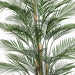 Artificial Areca Palm Tree (New Arrival) 210cm - FLORA DESIGNS