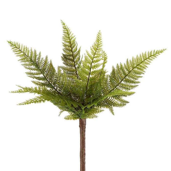 Small Native Fern Green Pack of 12