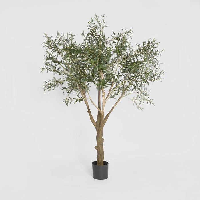 Giant Olive Green Tree 190cm