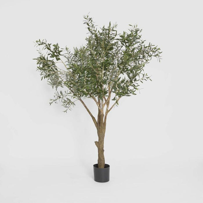 Giant Olive Green Tree 190cm
