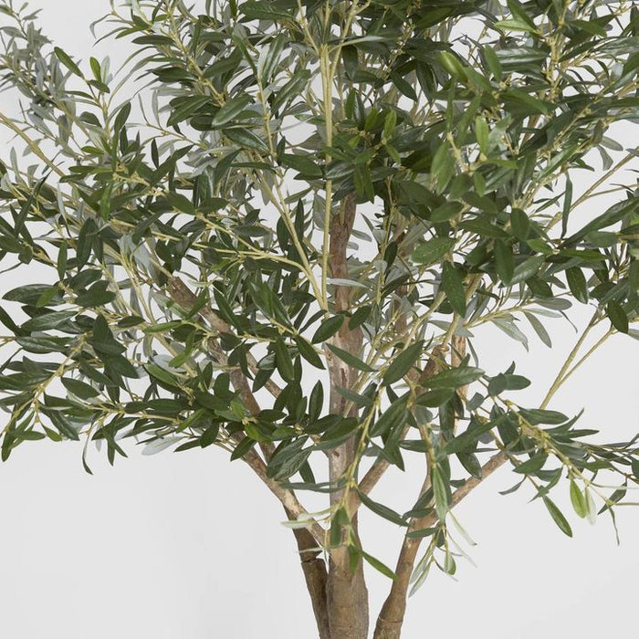 Giant Olive Green Tree 190cm