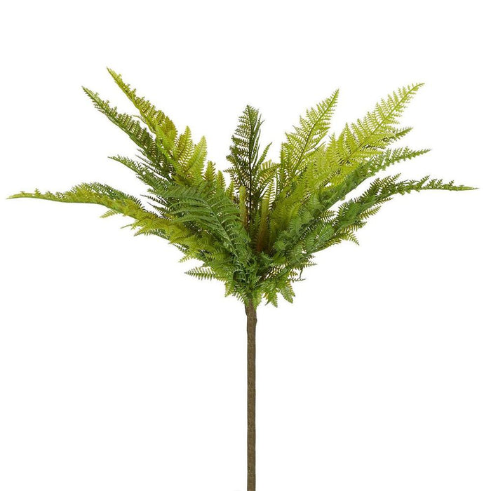 Native Fern Green 45cm Pack of 12