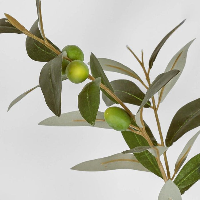 Olive Spray Green 76cm - Pack of 12